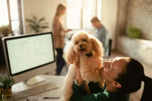 Tener una mascota en la oficina