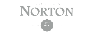 descarga (1)-gris